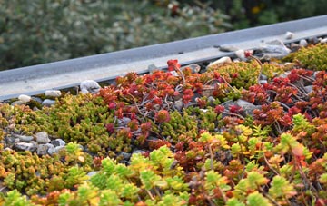 the cost of Wrinkleberry green roof installation