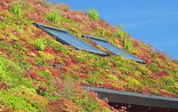 Wrinkleberry living roof systems