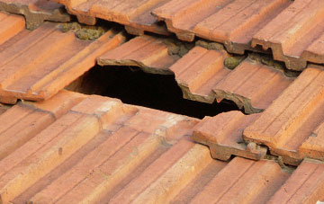 roof repair Wrinkleberry, Devon