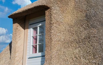 Wrinkleberry thatch roof disadvantages